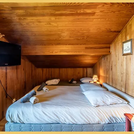 Chalet Le Brenor I Vue I